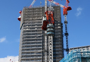 一戸建て